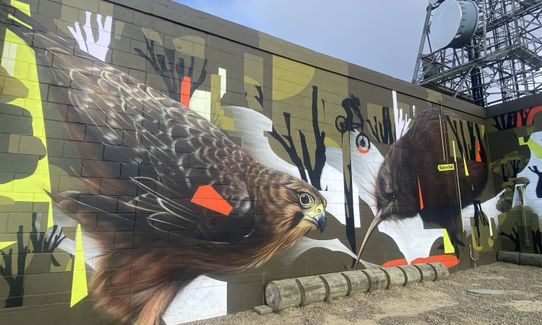 Mini Makara Mission, Wellington