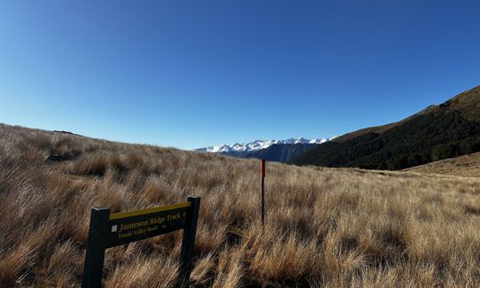 Mole Jamieson Loop, Tasman