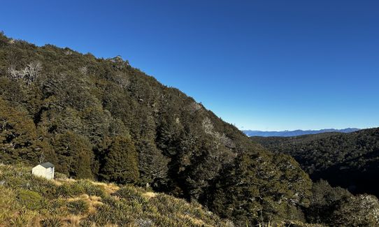 Mole Jamieson Loop, Tasman