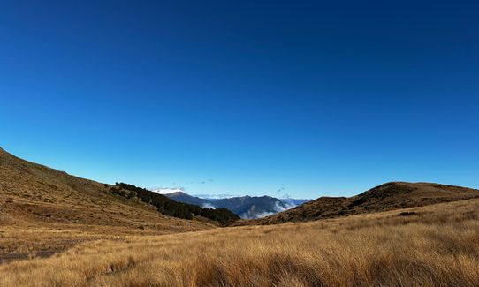 Mole Jamieson Loop, Tasman