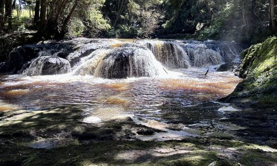 Morrinsville Gully & River Run, Waikato