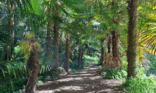 Morrinsville Gully & River Run, Waikato