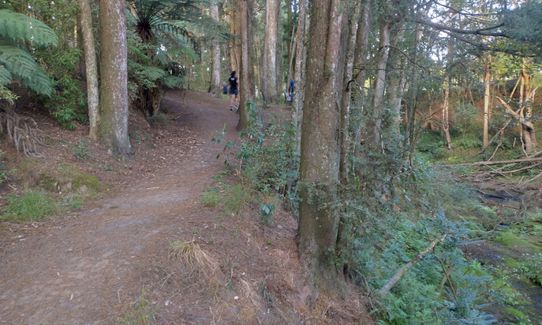 Morrinsville Gully & River Run, Waikato