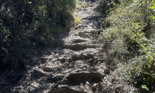 Mount Oxford Summit Scramble, Canterbury