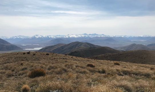 Mount Pukanui and Mount Tripp loop, Canterbury