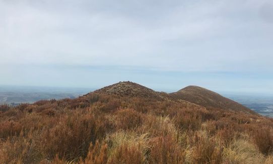 Mount Pukanui and Mount Tripp loop, Canterbury