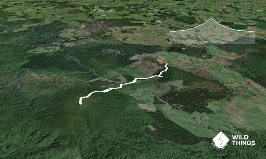 Mount Pureora, Manawatu - Wanganui