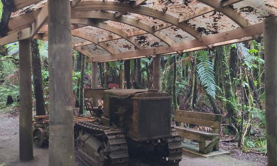 Mount Pureora, Manawatu - Wanganui