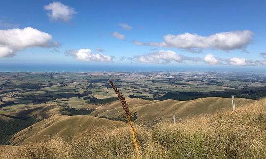 Mount Studholme and Mount Cecil, Canterbury