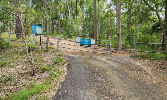 Mount Wongawallan Wander, Queensland