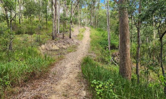 Mount Wongawallan Wander, Queensland