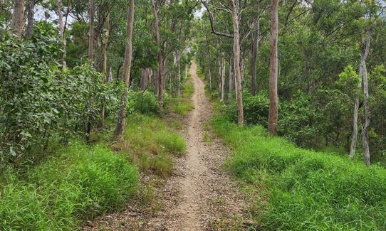 Mount Wongawallan Wander, Queensland