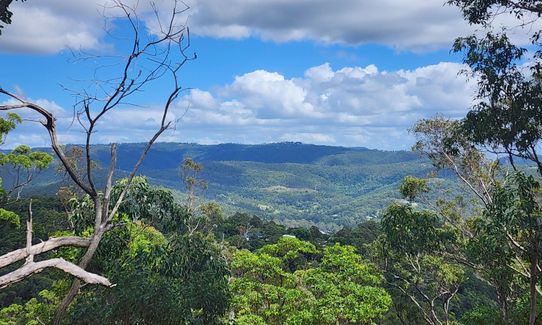 Mount Wongawallan Wander, Queensland