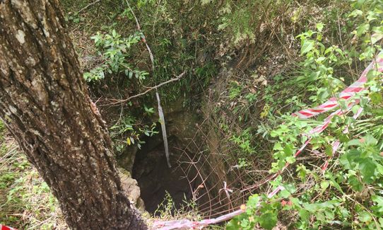 Mount Wongawallan Wander, Queensland