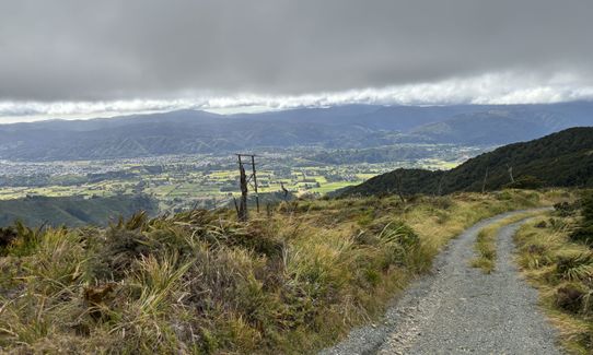 Mt Climie & Tane's Track, Wellington