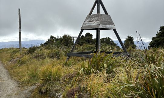 Mt Climie & Tane's Track, Wellington