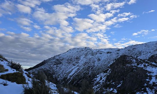 Mt Dumblane, Canterbury