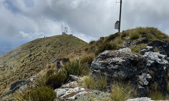 Mt French, West Coast