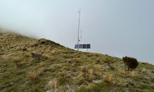 Mt French, West Coast