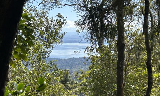 Mt French, West Coast