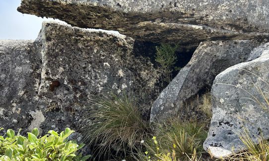 Mt French, West Coast