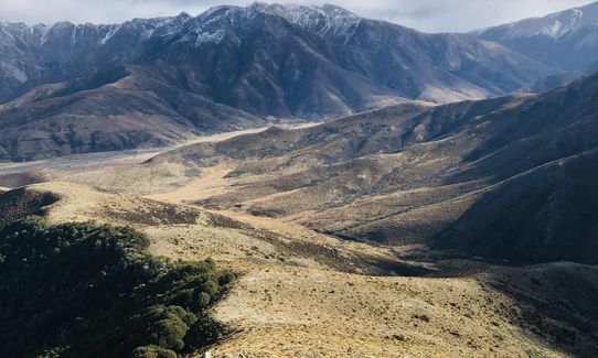 Mt Muntz Meander, Canterbury
