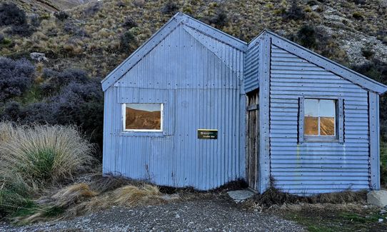Mt. Taylor Dual, Canterbury