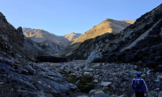 Mt. Taylor Dual, Canterbury