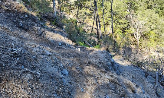 Mt Thomas Grunt, Canterbury