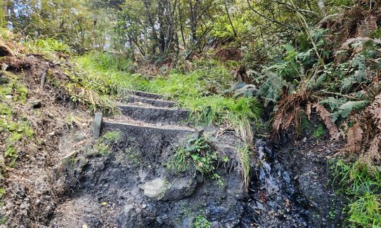Mt Thomas Grunt, Canterbury