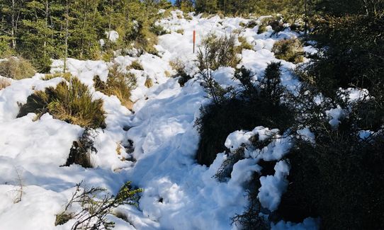 Mt Thomas Long Loop, Canterbury