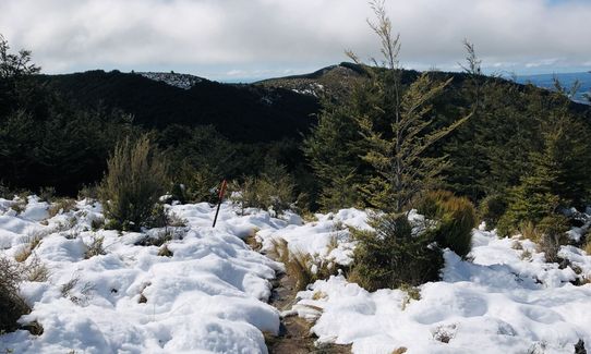 Mt Thomas Long Loop, Canterbury