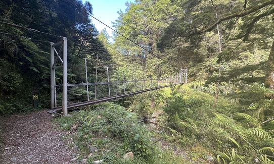 Murray Creek / Machine Loop Track , West Coast