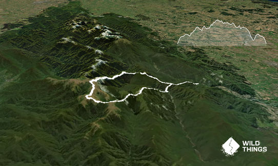 Neill Winchcombe loop, Wellington