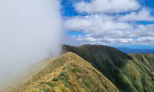 Neill Winchcombe loop, Wellington