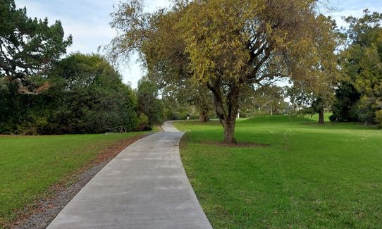 Ngāti Ōtara, Auckland