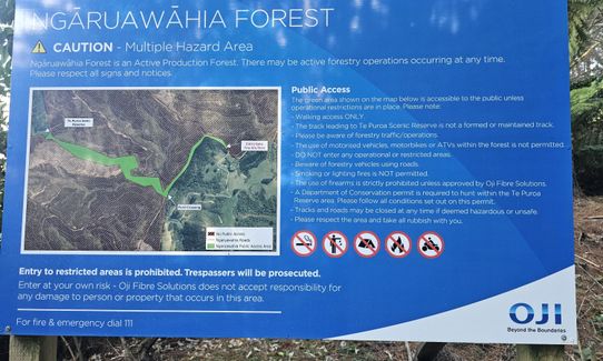 Ngaruawahia Forest Loop, Waikato