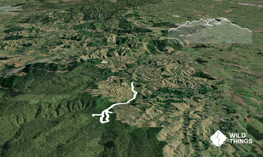 Nikau Loop & Kaniwhaniwha Caves, Waikato