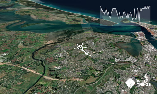 Nooks and crannies, Bay of Plenty