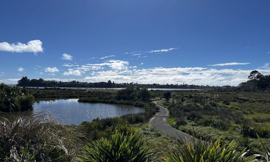 Nooks and crannies, Bay of Plenty