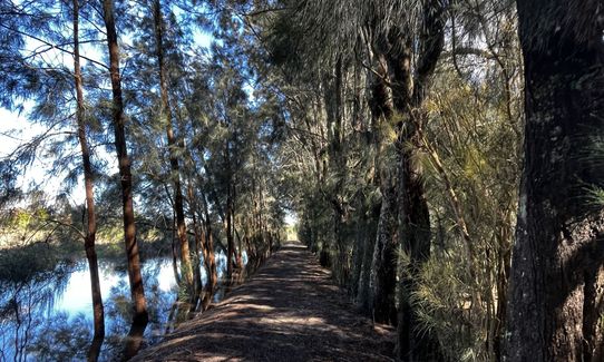 Nooks and crannies, Bay of Plenty