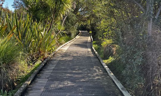 Nooks and crannies, Bay of Plenty