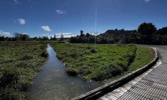 Nooks and crannies, Bay of Plenty