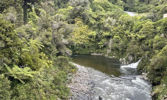 Norbett Creek Loop, Wellington