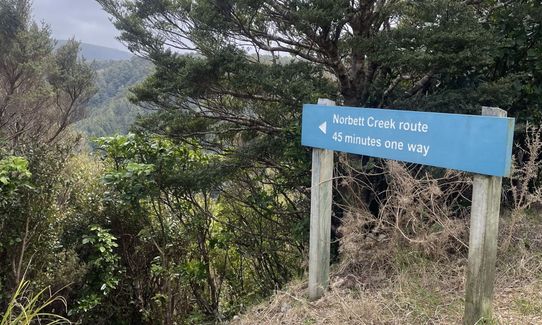 Norbett Creek Loop, Wellington