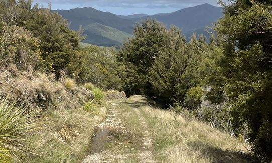 Norbett Creek Loop, Wellington