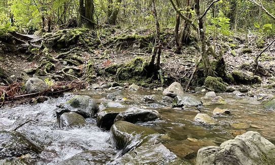 Norbett Creek Loop, Wellington