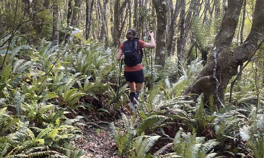 Norbett Creek Loop, Wellington