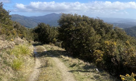 Norbett Creek Loop, Wellington