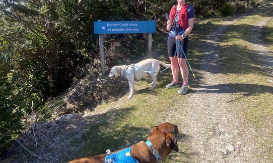 Norbett Creek Loop, Wellington